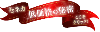 セネカ 低価格の秘密